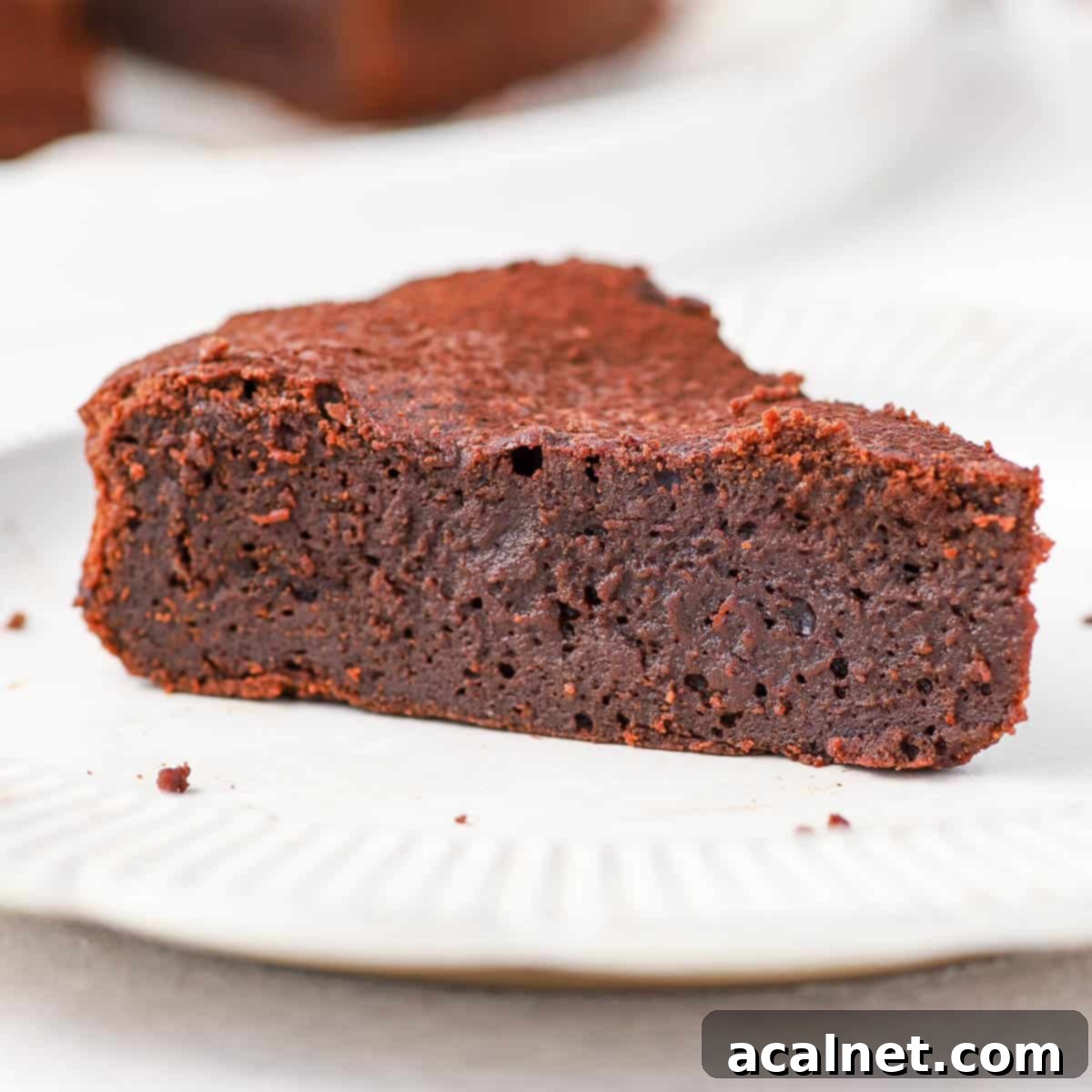 Molten French Chocolate Fondant Cake 1 featured 15271