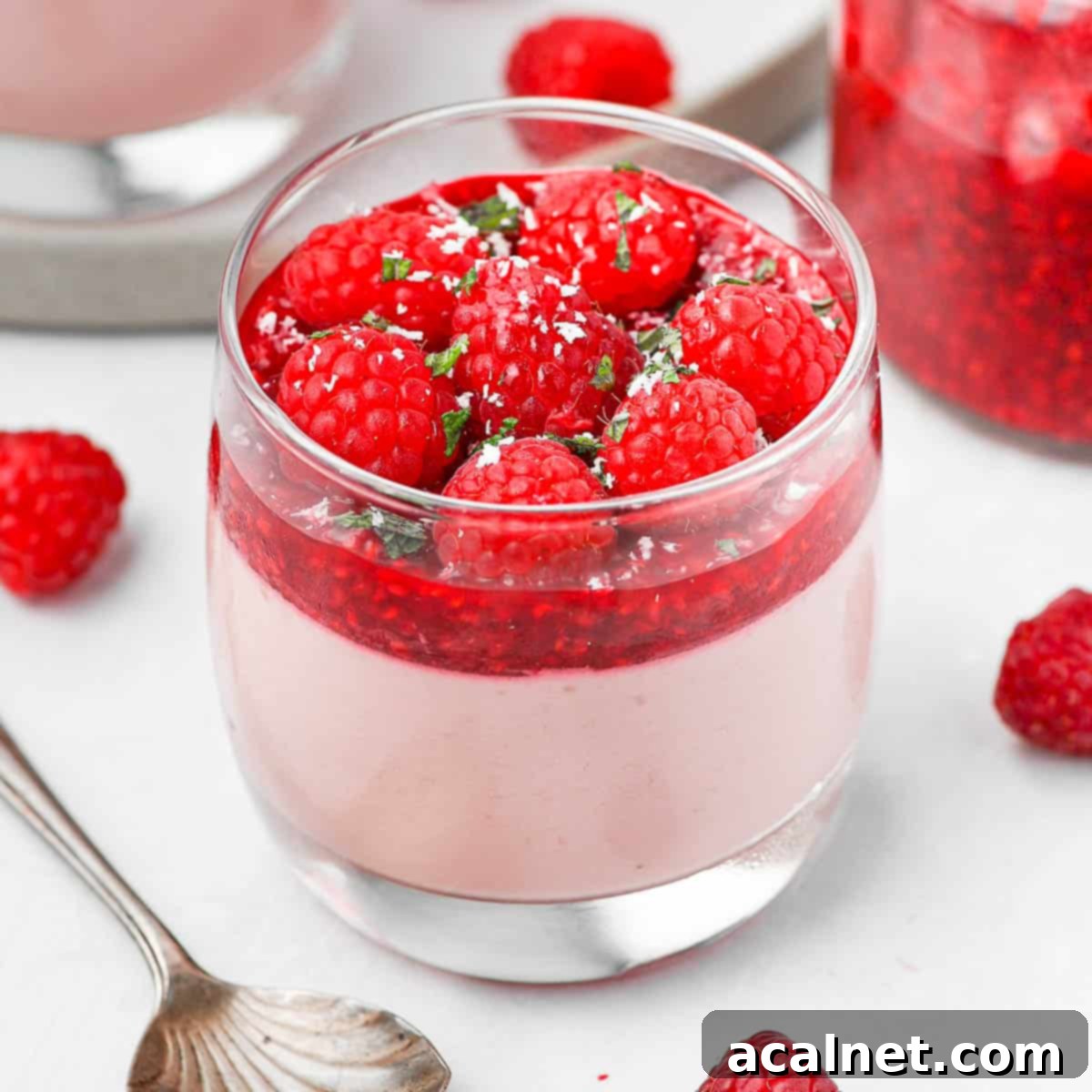 Effortless Raspberry Panna Cotta 1 featured 15415
