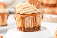 Irresistible Mini Biscoff Cheesecakes