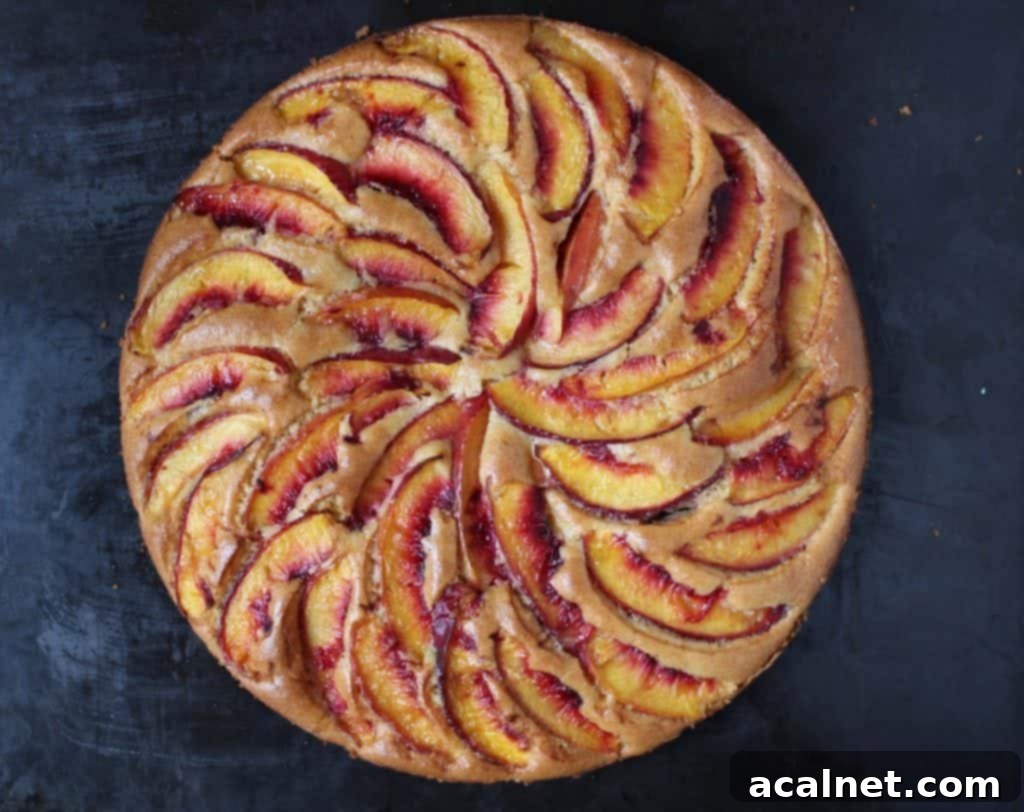 Sun-Kissed Peach Almond Olive Oil Cake 1 featured 587