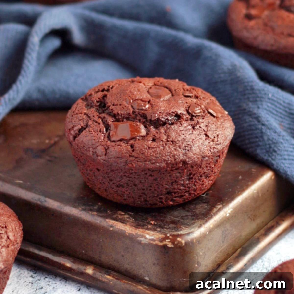 Fudgy Double Chocolate Muffins 1 featured 6475