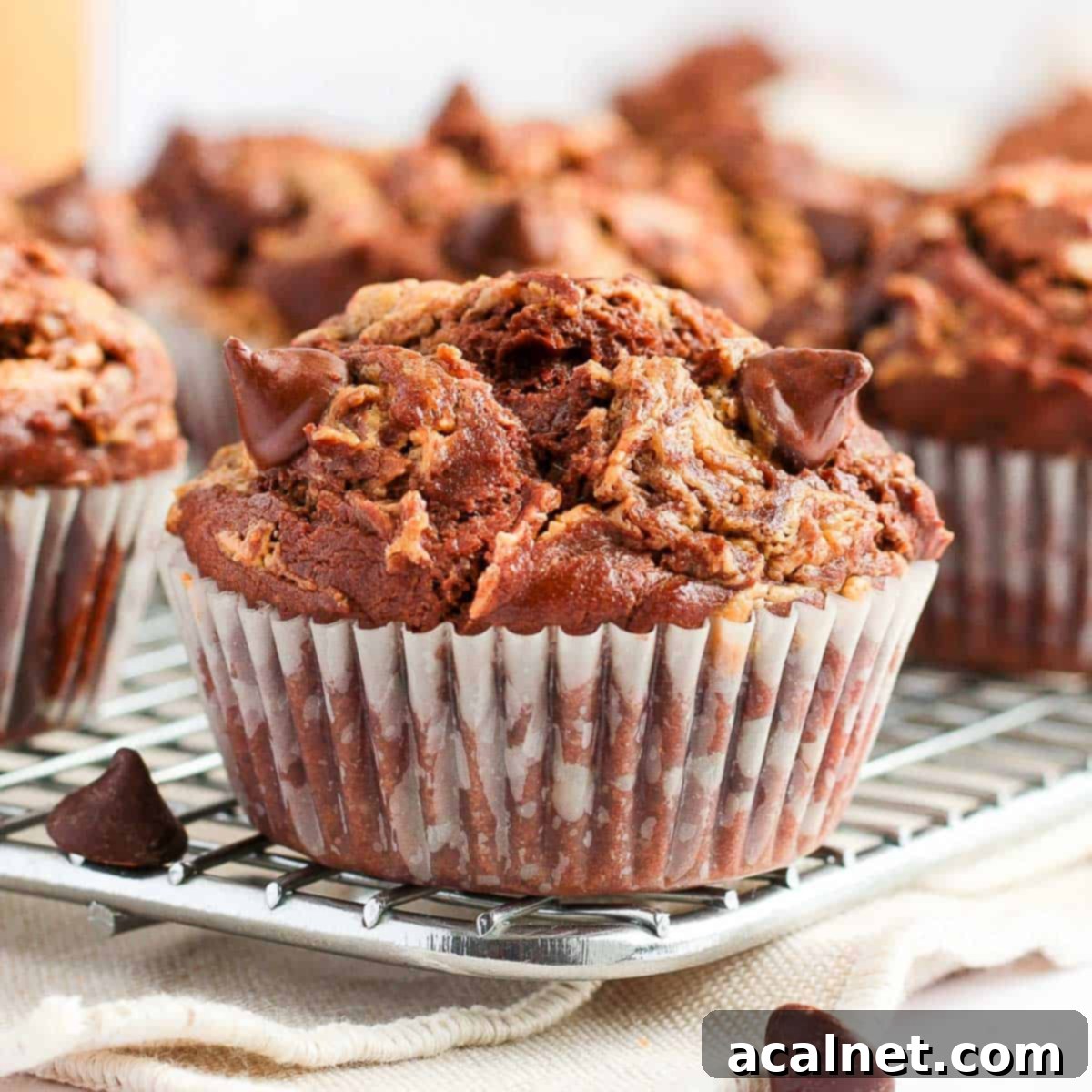 A close-up of a freshly baked Double Chocolate Peanut Butter Muffin resting on a cooling rack, showcasing its moist crumb and enticing peanut butter swirl and chocolate chip topping.