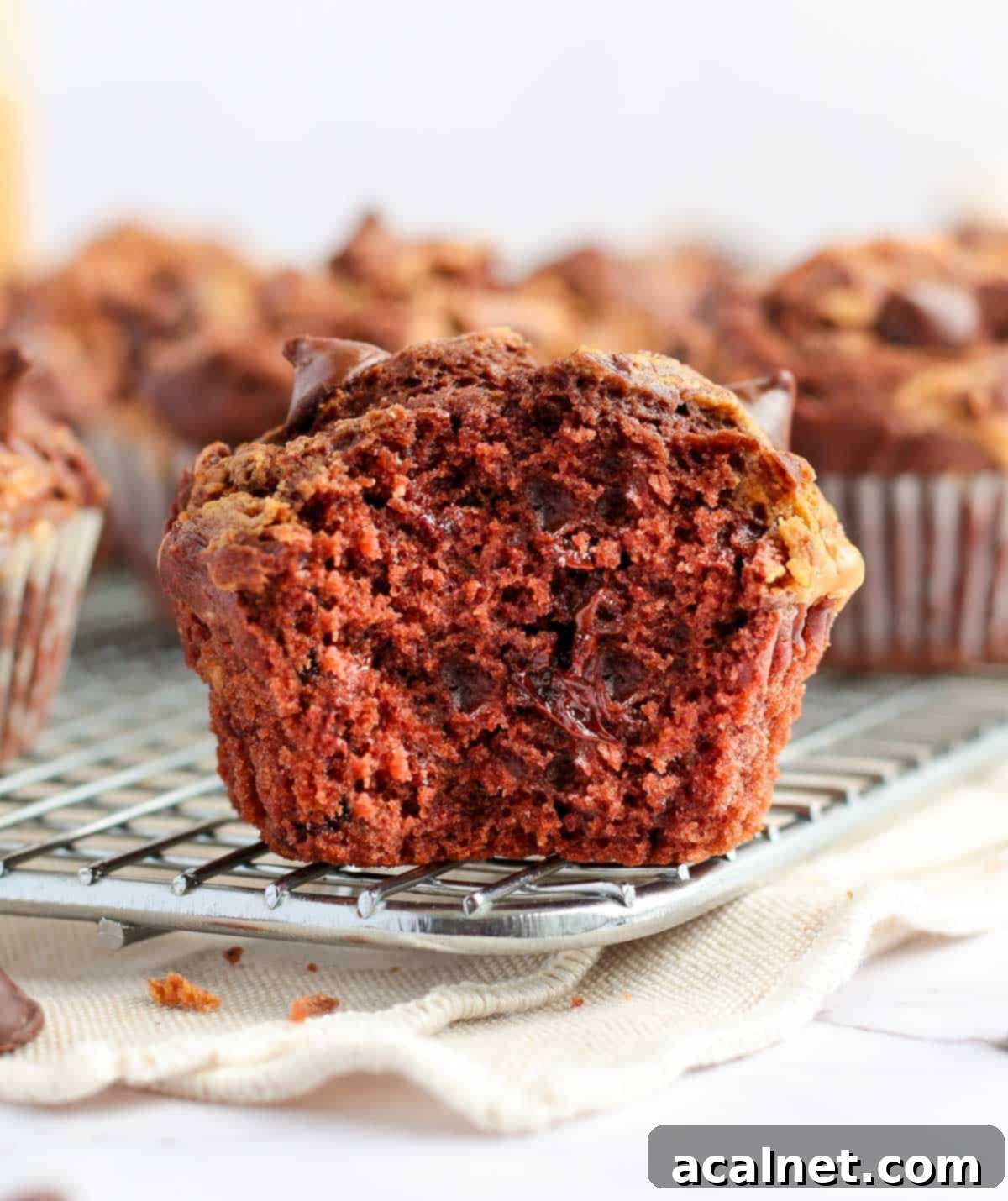 A crumb shot of a Double Chocolate Peanut Butter Muffin with a bite taken out, revealing its moist interior packed with chocolate chips.
