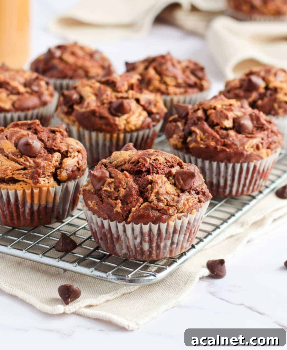 Freshly baked Double Chocolate Peanut Butter Muffins arranged on a cooling rack over a beige tea towel, ready to be enjoyed.