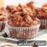 A close-up of a freshly baked Double Chocolate Peanut Butter Muffin resting on a cooling rack, showcasing its moist crumb and enticing peanut butter swirl and chocolate chip topping.