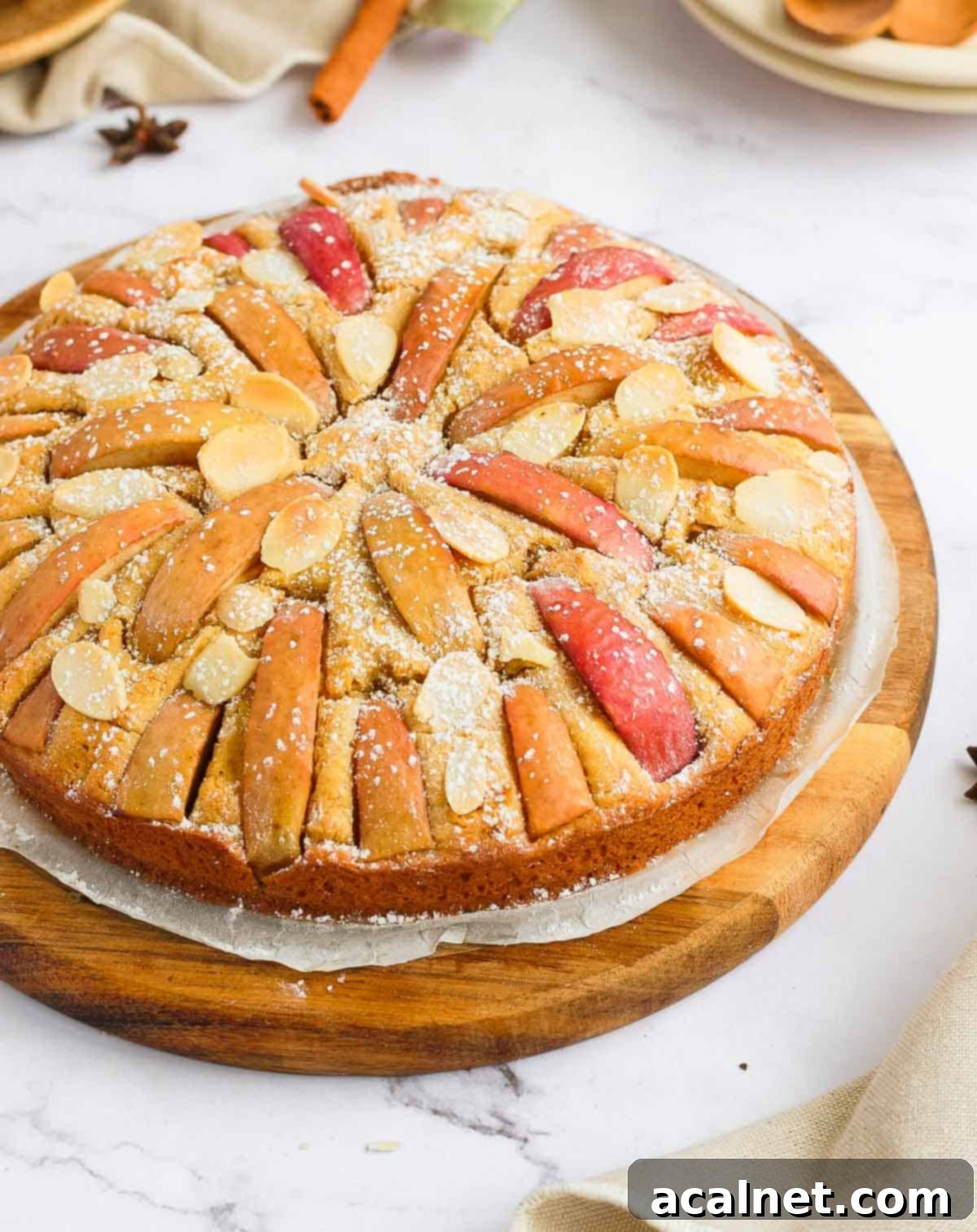 Effortless Gluten-Free Apple Cake 4 A slice of Gluten-Free Apple Cake with Applesauce on a white plate, showing the moist interior and soft apple topping.