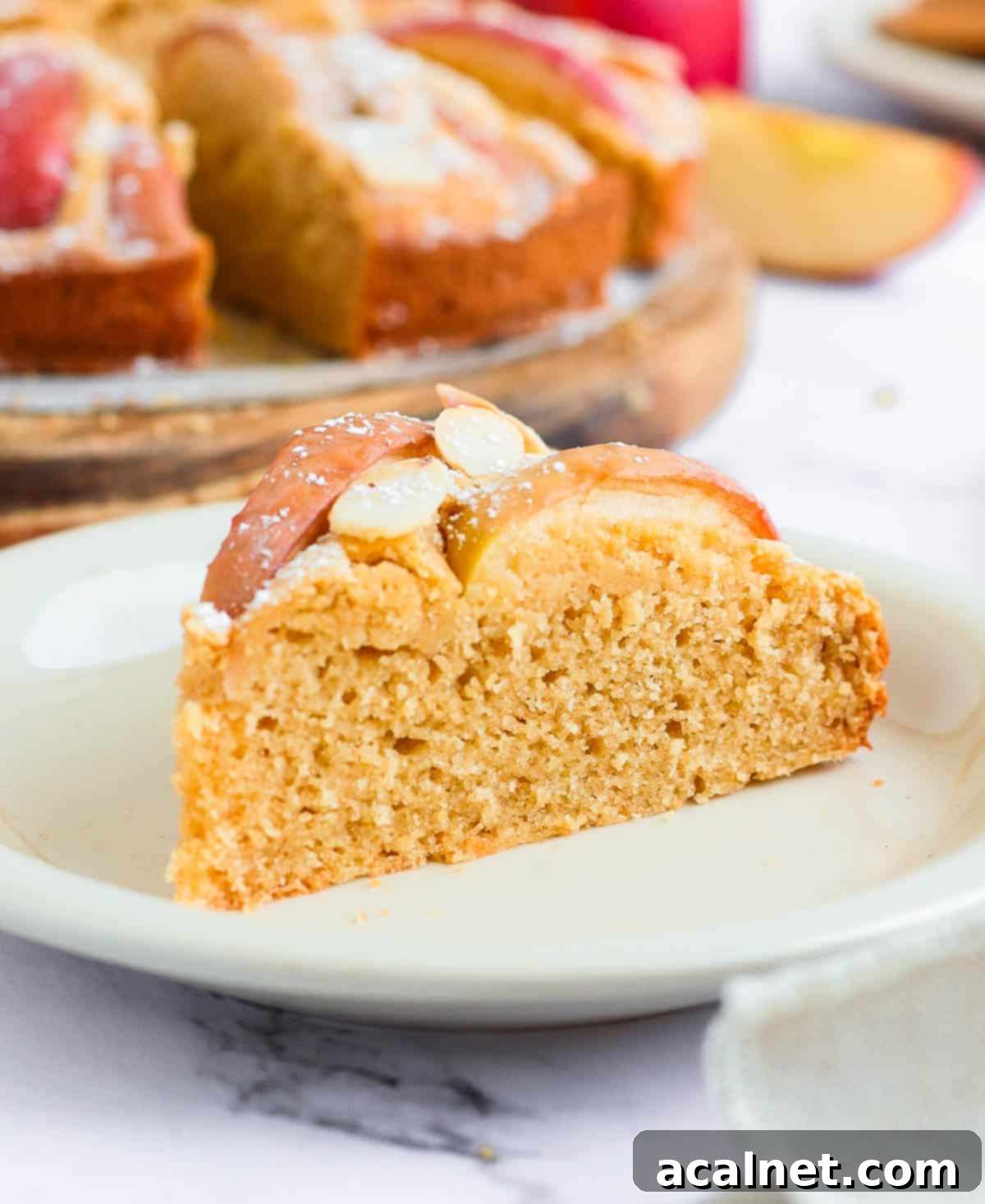 Effortless Gluten-Free Apple Cake 7 A single slice of Gluten-Free Apple Cake with Applesauce on a small white plate, showing the rich texture and cooked apple slices.