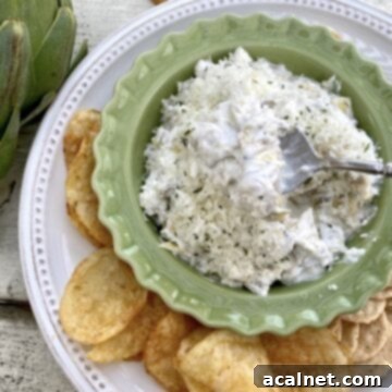 A large plate with chips and crackers and a small bowl of artichoke dip in the center.