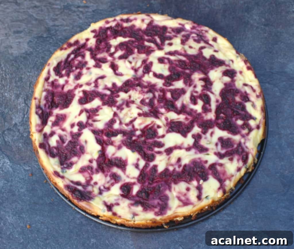 Exotic Passionfruit Raspberry Cheesecake 5 Whole Raspberry Passion Fruit Cheesecake