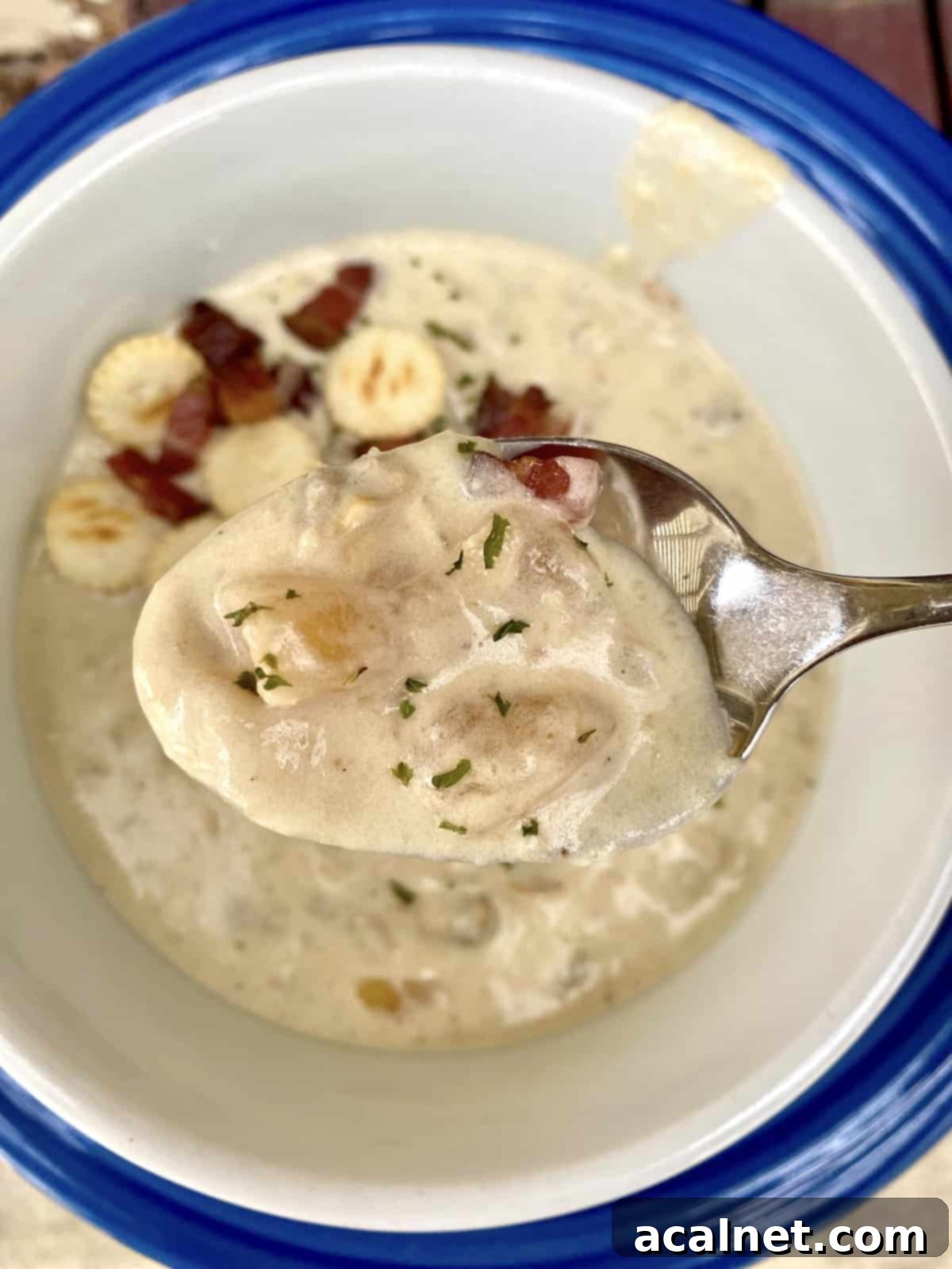 A spoonful of creamy New England style clam chowder, garnished with crispy bacon bits and crunchy crackers, ready to be enjoyed.
