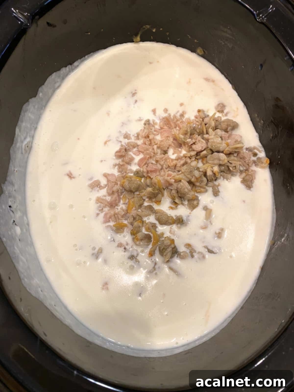 Freshly cooked clams gently placed on top of a rich, creamy white sauce in a slow cooker, ready to be stirred into the chowder.