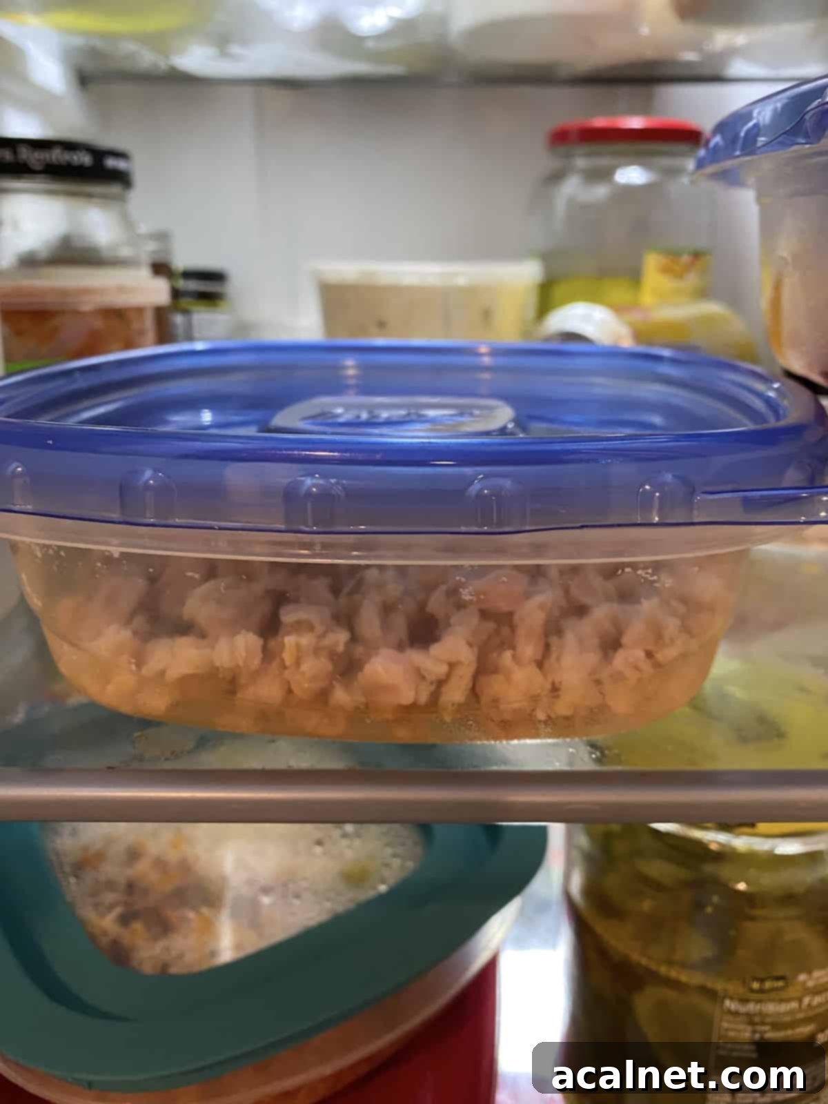 A sealed plastic container filled with drained clams, stored on a shelf inside a refrigerator.