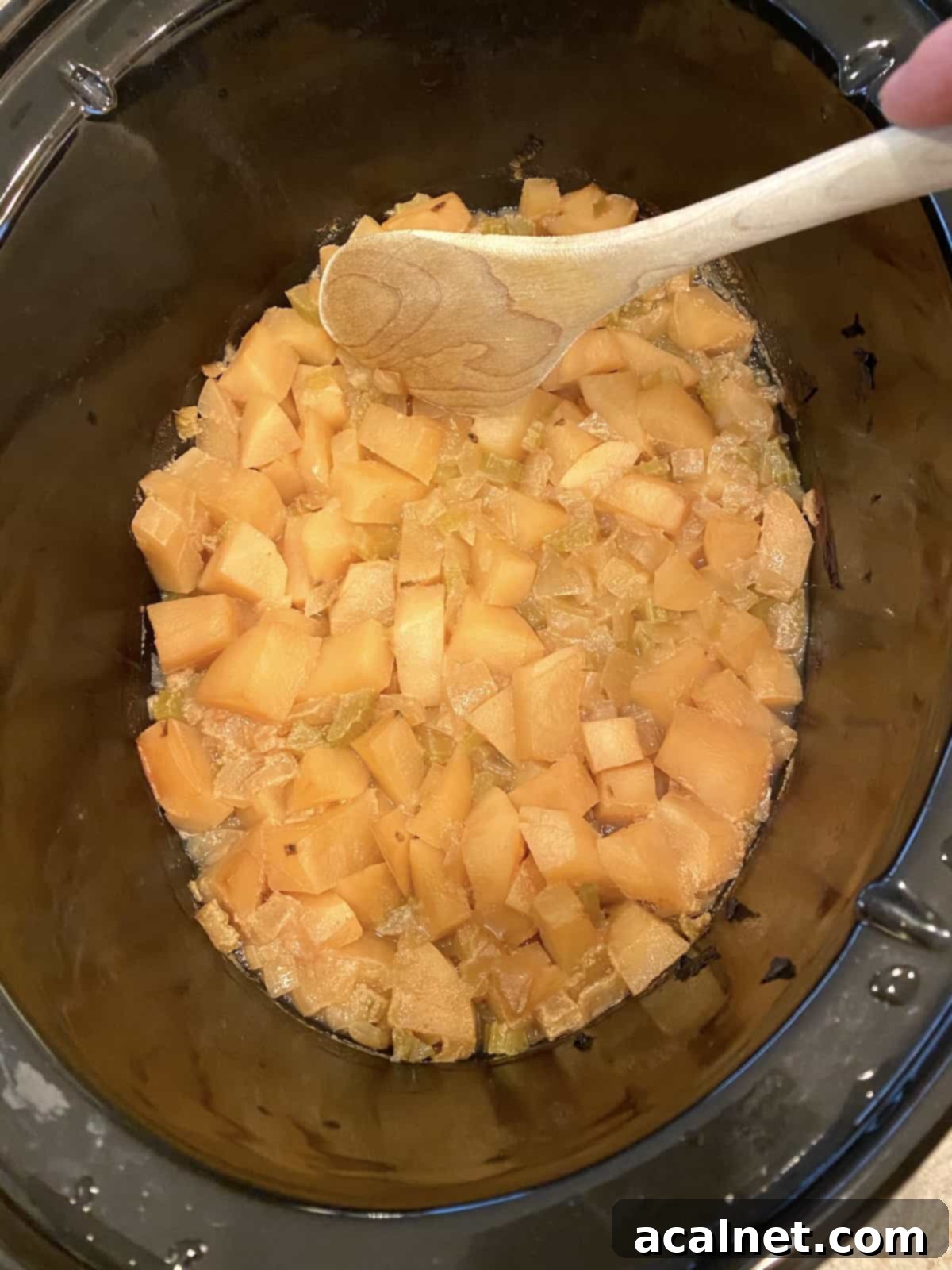 Tender, cooked potatoes and celery submerged in a flavorful broth inside a crockpot, with a wooden spoon resting on the rim.