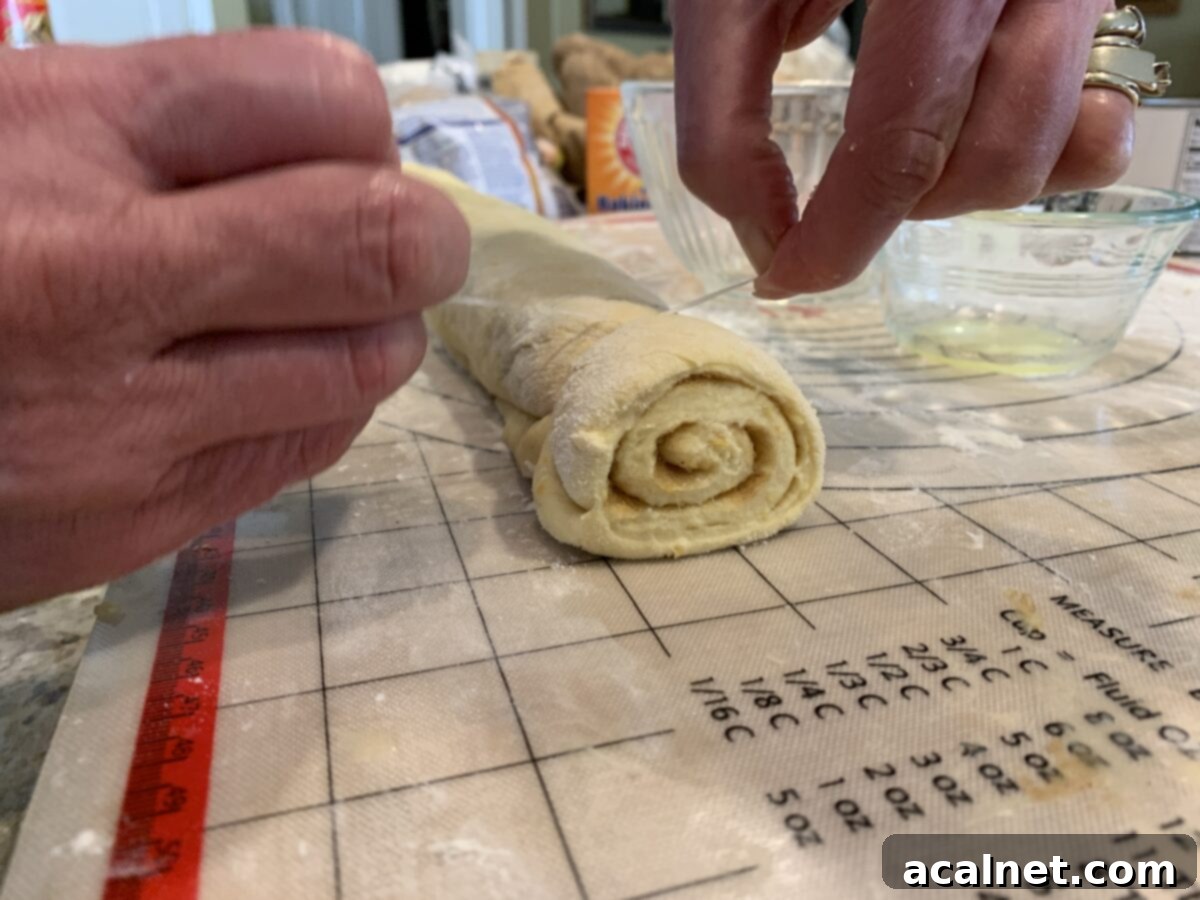 A sharp knife or dental floss is being used to precisely slice the long, rolled sweet roll dough into individual 1-inch sections, ready for their final rise.