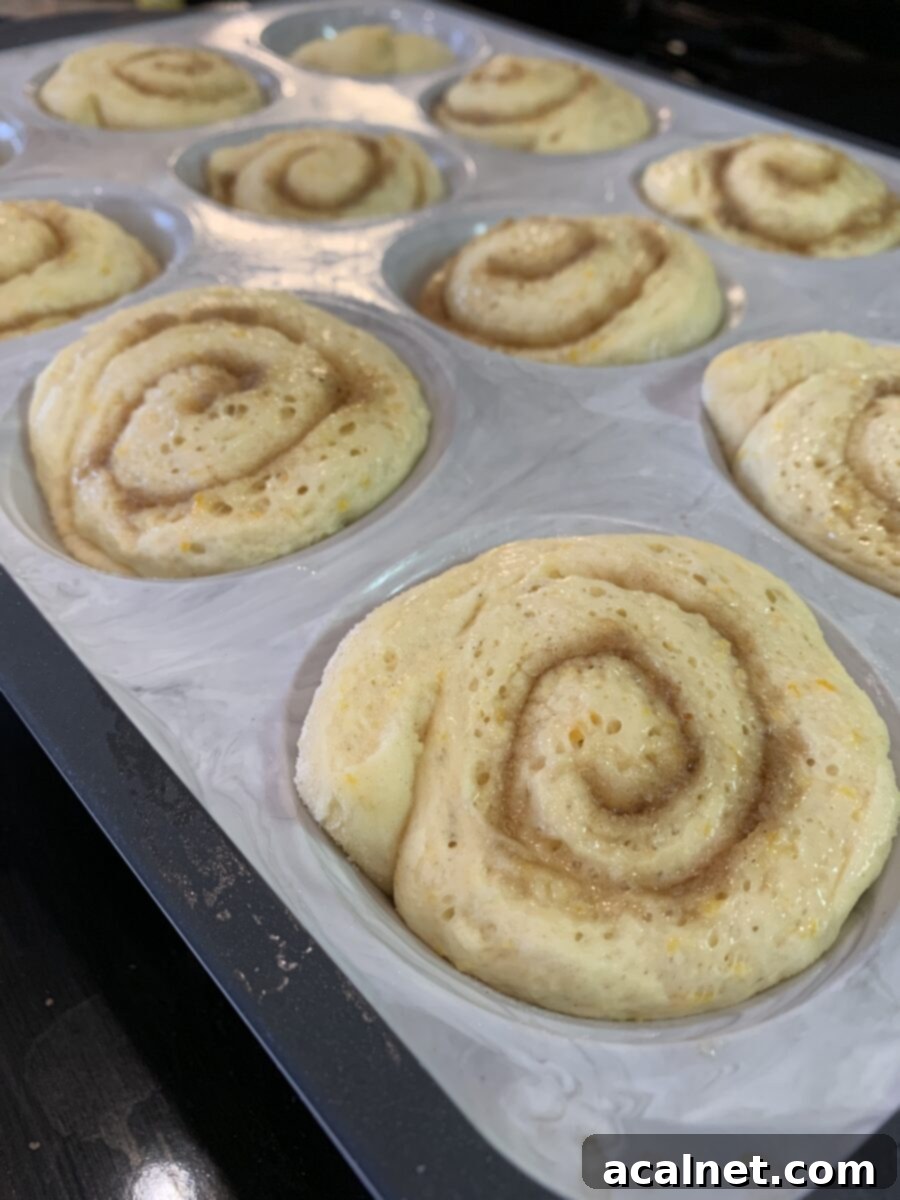 Beautifully risen sweet rolls, plump and golden brown, baked together in a round pan, showing off their soft texture and ready for icing.