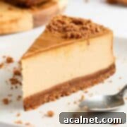 A cropped image of the Speculoos Biscoff cheesecake, highlighting its creamy topping and golden color.