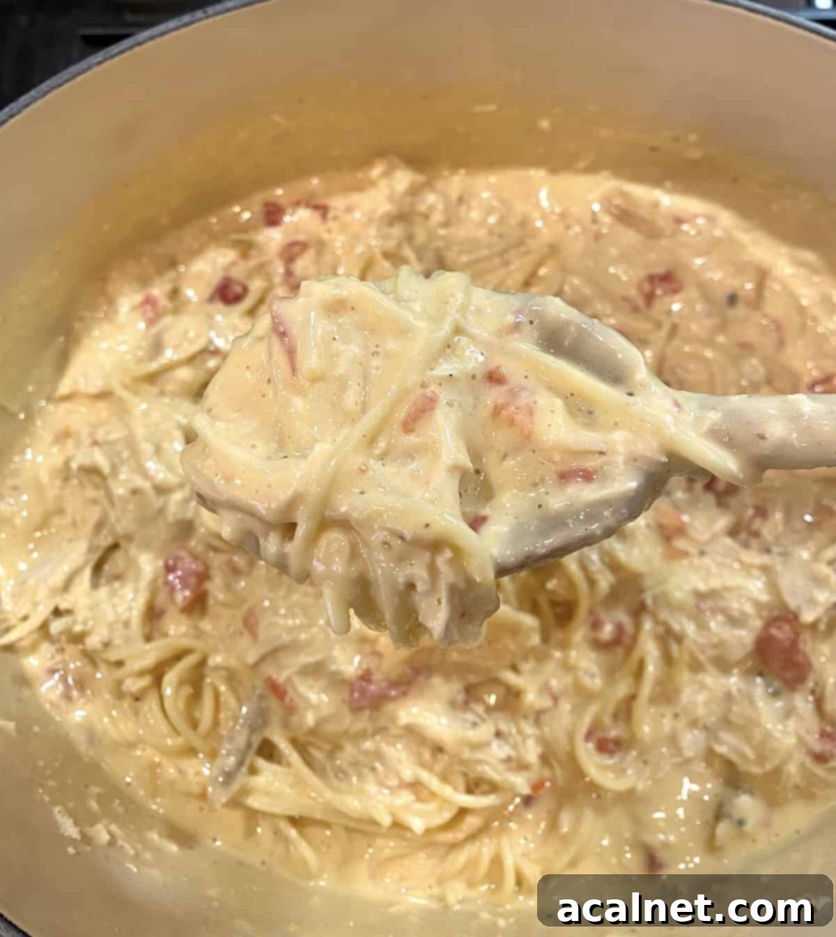 Chicken spaghetti in a sauce pan on the stove.