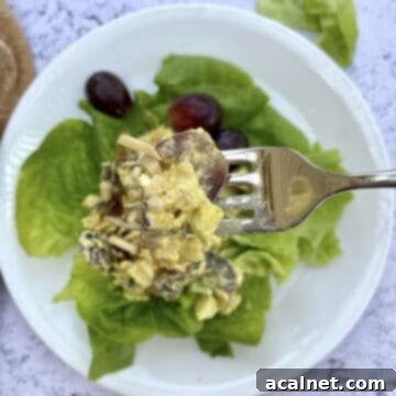 A fork held over a plate of salad with a scoop of chicken curry and grapes.