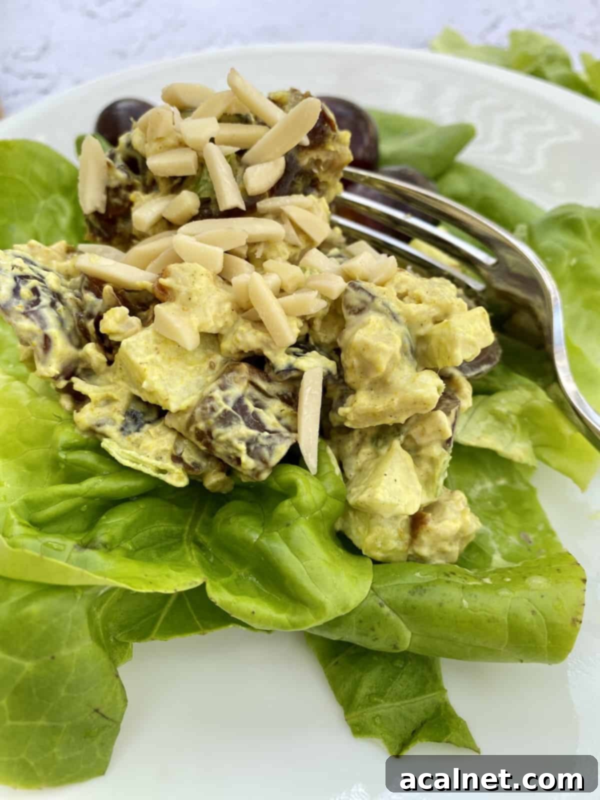 Chicken curry salad on a bed of lettuce on a plate with a fork on the side.