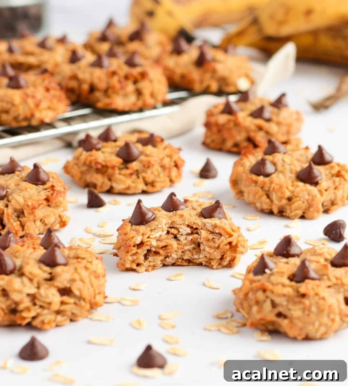 Delicious breakfast cookies artfully arranged on a white surface, with scattered oats and chocolate chips around.