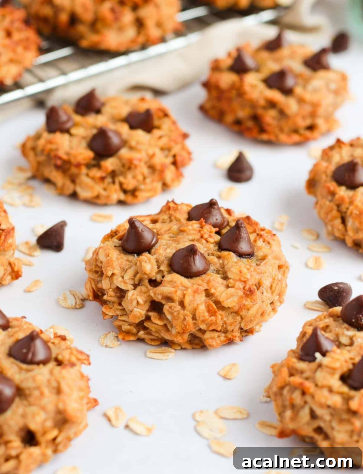 One peanut butter banana oatmeal cookie with dark chocolate chips, perfectly baked and ready to eat on a pristine white surface.