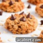 Close up on one peanut butter banana oatmeal cookie topped with chocolate chips, showcasing its chewy texture.