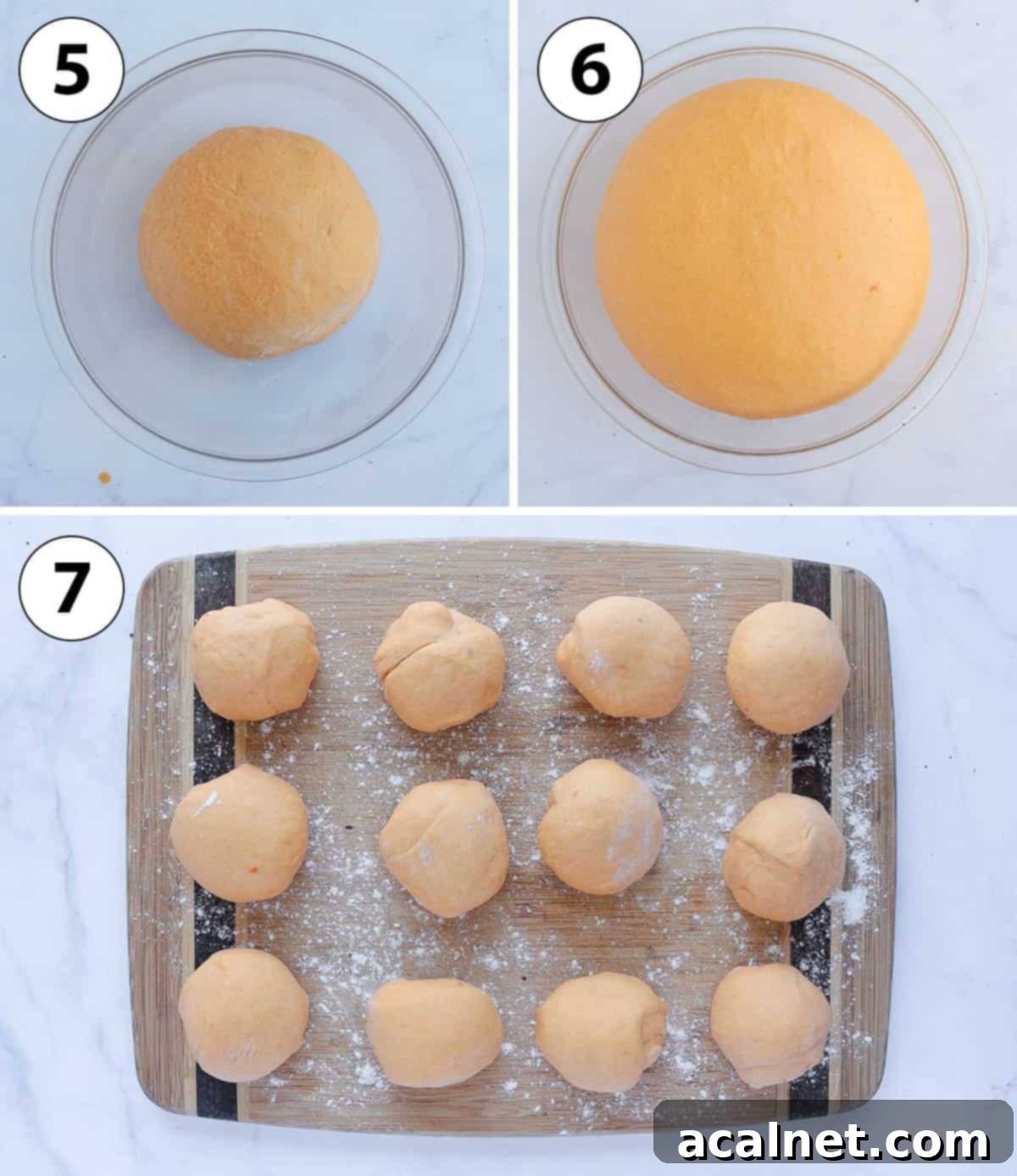 A three-panel process shot collage demonstrating the first proving stage: dough formed into a ball in a greased bowl, dough doubled in size after proving, and dough punched down on a floured surface.