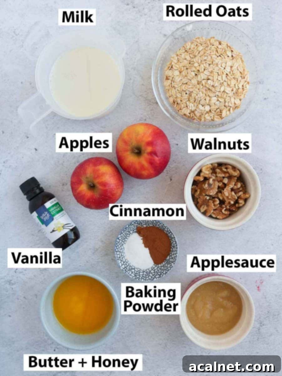 Ingredients for the baked oatmeal on a grey surface.