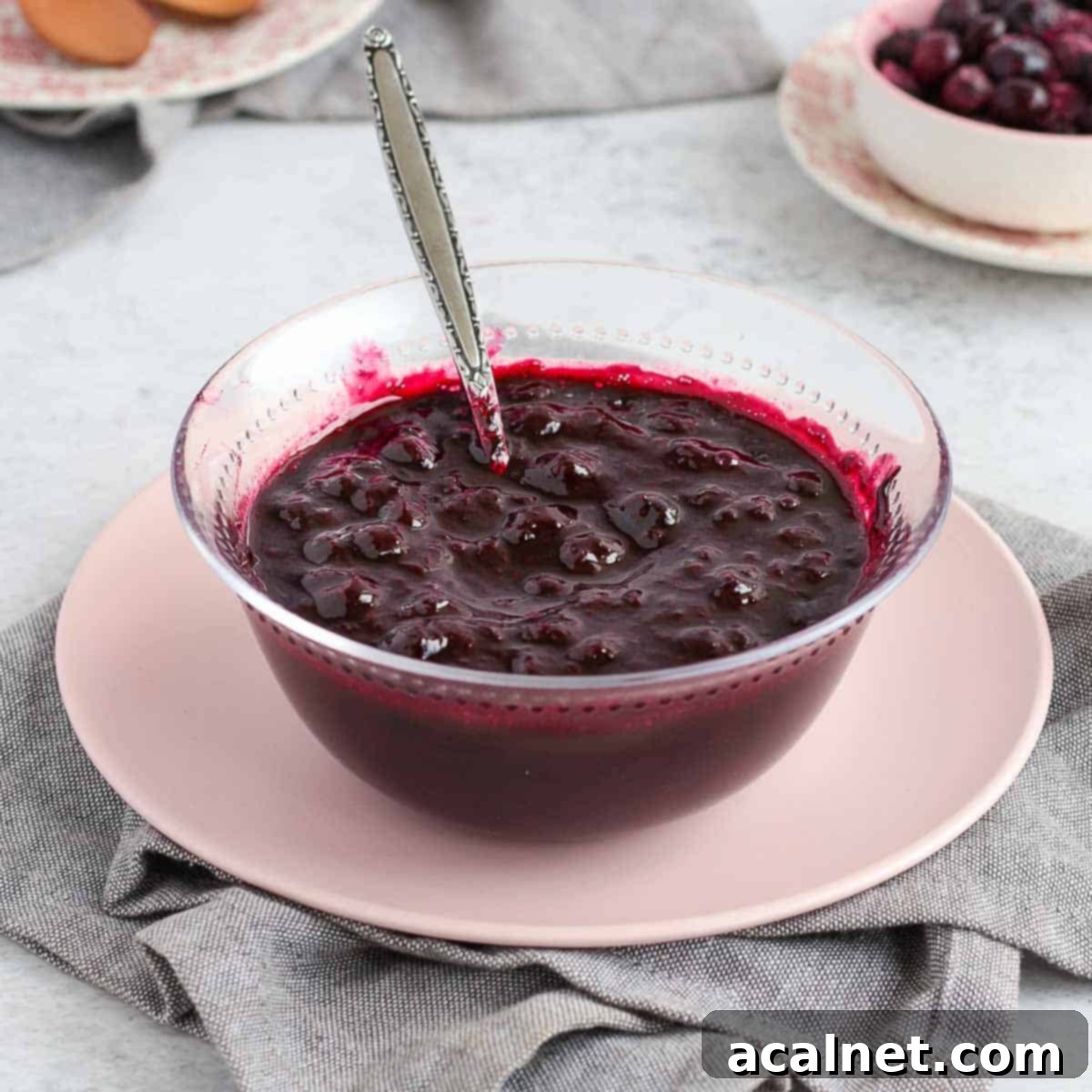 Blueberry Compote in a glass bowl over a pink plate.