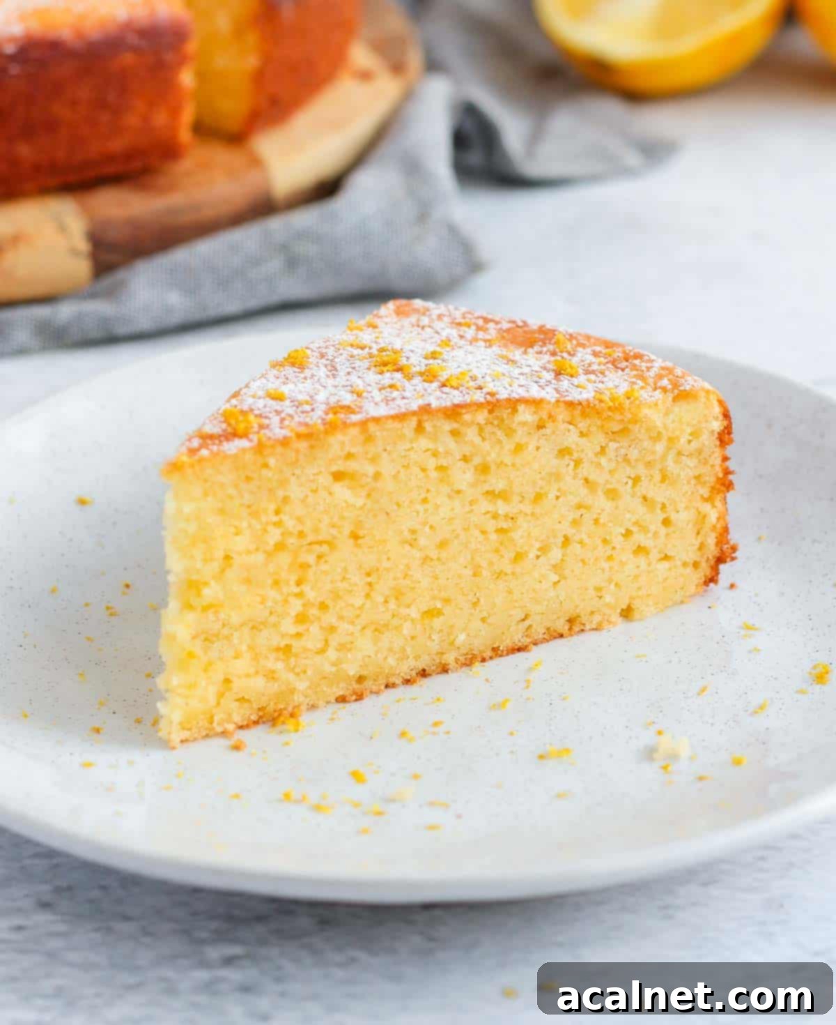 One slice of cake on a white plate.