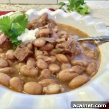 Hearty Pinto Chili 9 A serving of pinto bean chili in a bowl with a spoon and garnishes on the side.