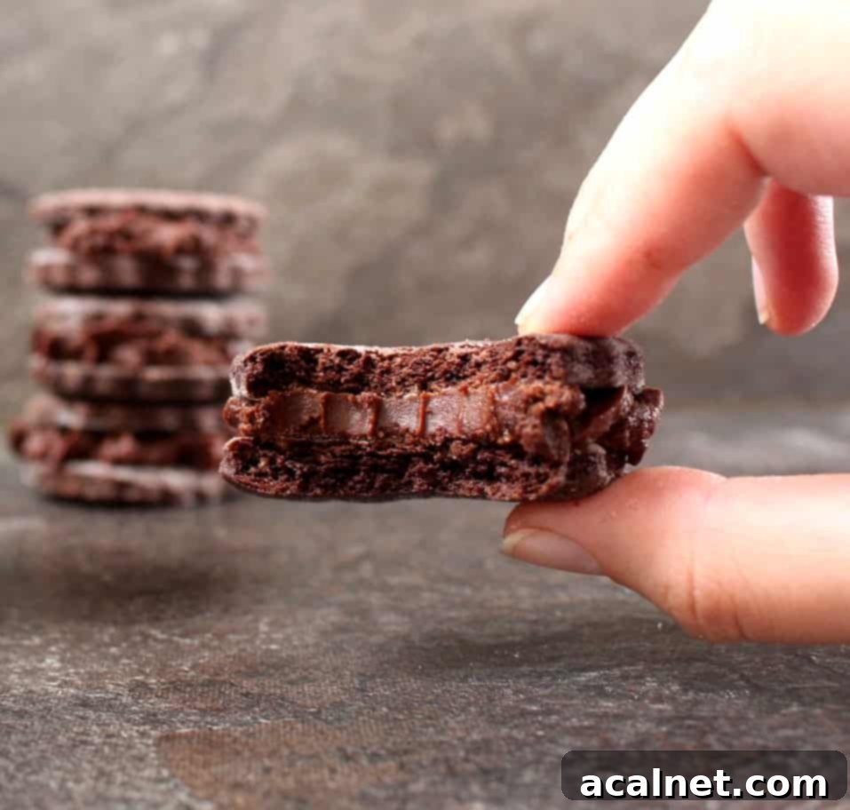 Vegan Chocolate Shortbread Cookie Sandwich