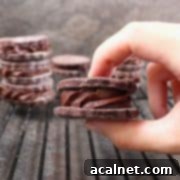Vegan Chocolate Shortbread Cookie Sandwich