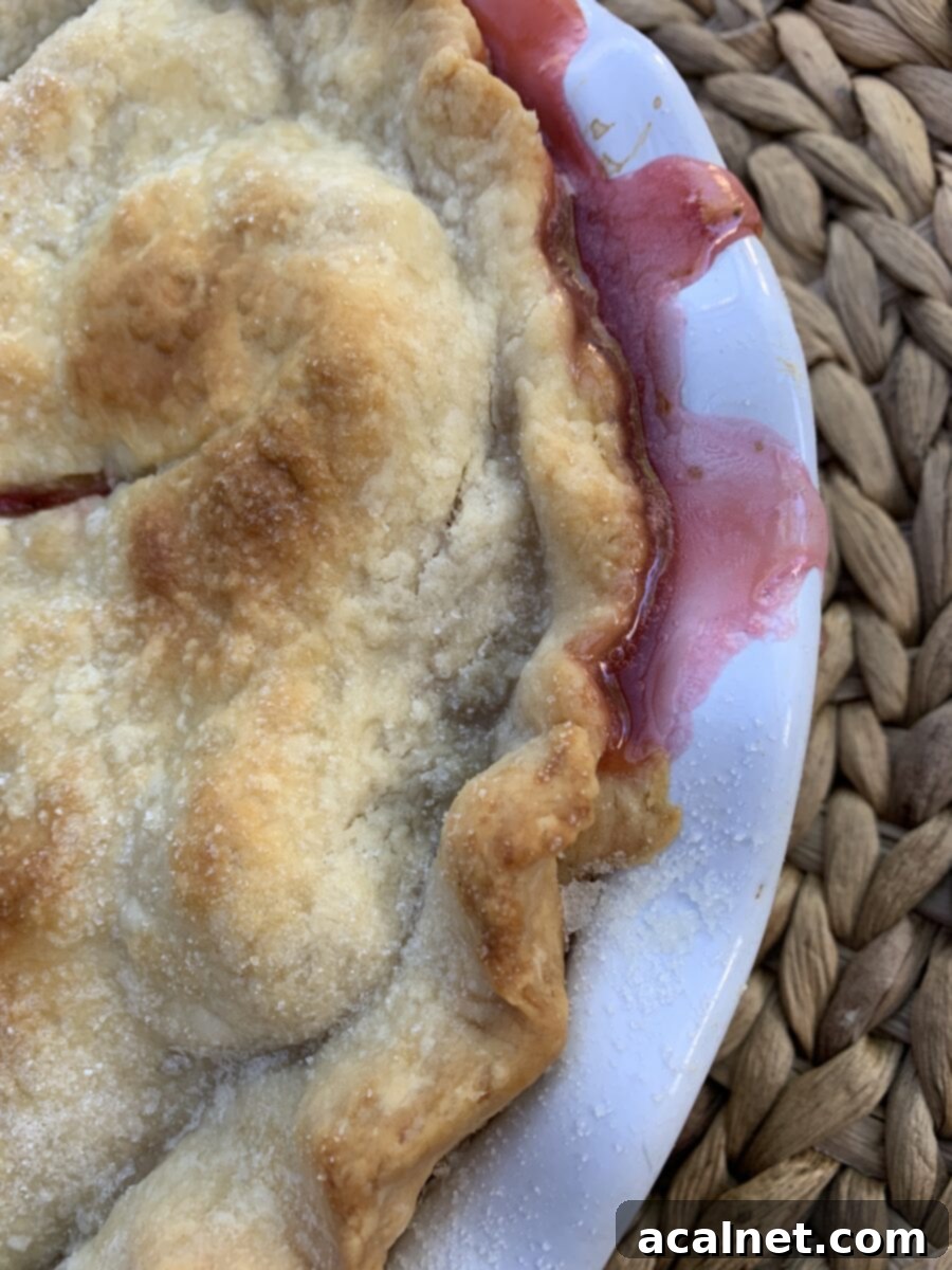 Tight shot of the filling bubbled from the strawberry rhubarb pie and the pie crust. 