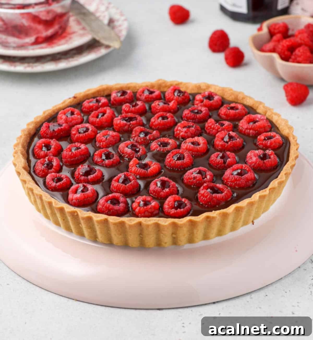 Chocolate and Raspberry Tart on a large pink plate.