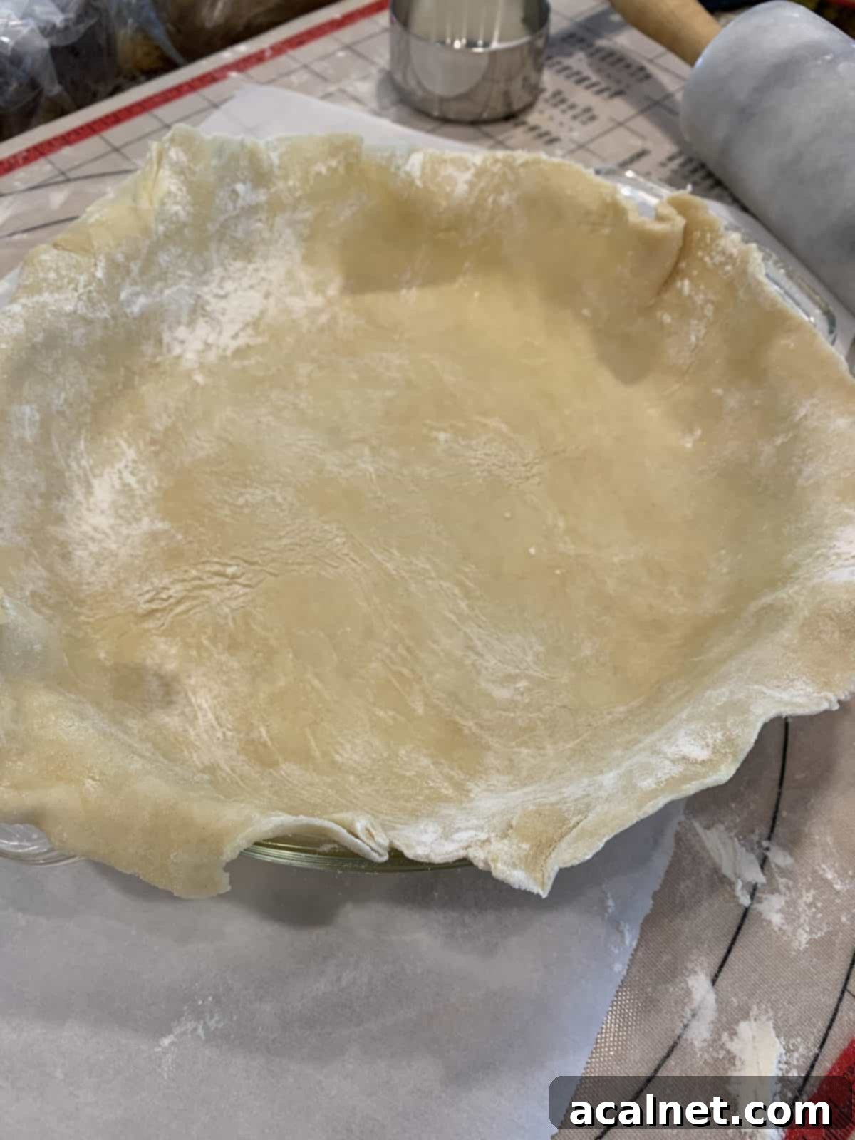 The bottom crust of a pie in a pie dish.