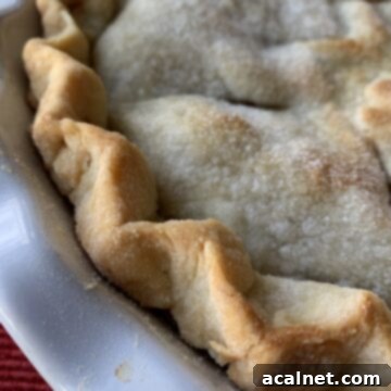 Baked pie crust