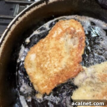 Chicken cutlets with panko breading sizzling in hot oil in a skilled on the stove, creating a crispy crust.