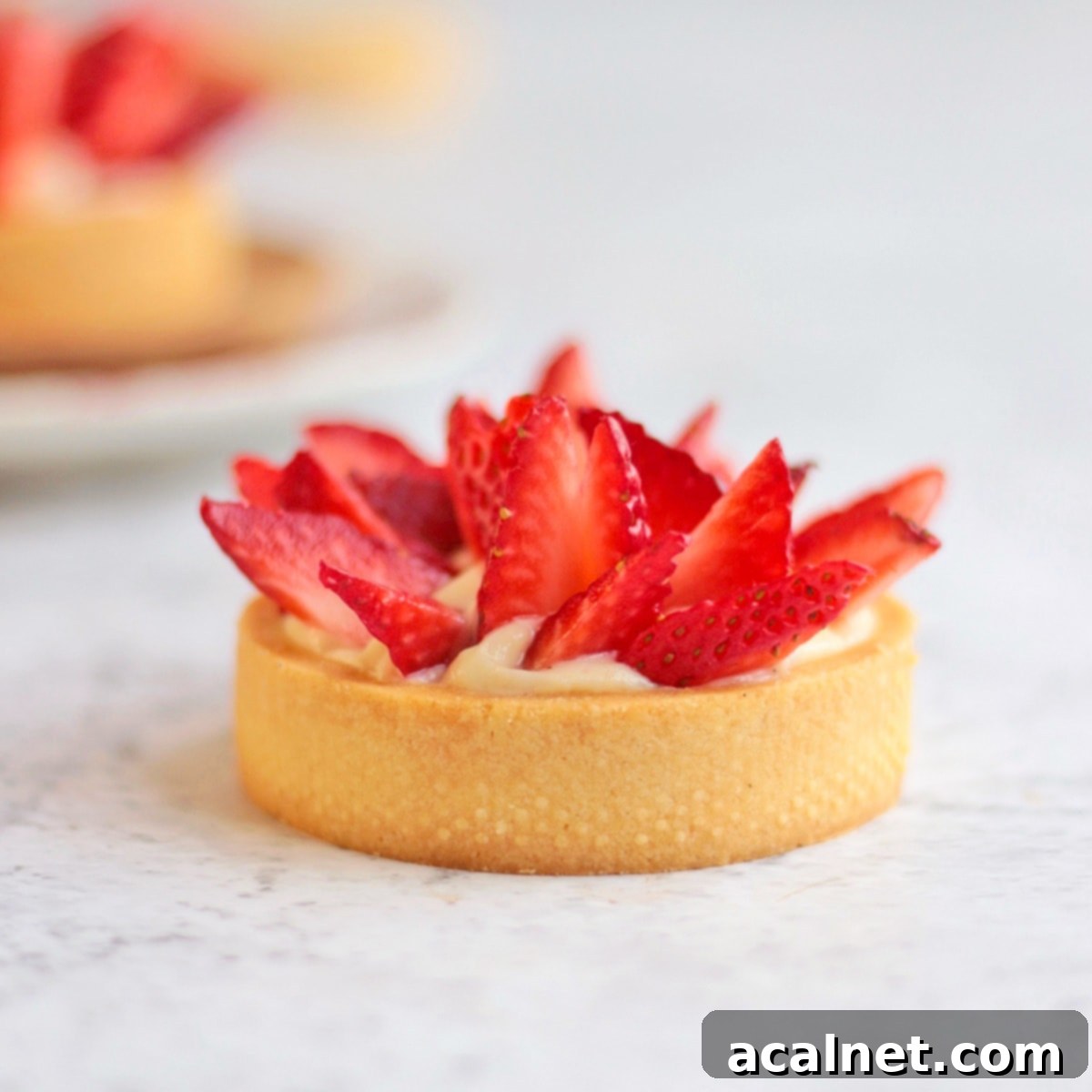 One exquisite Fresh Strawberry Tartlet with Vanilla Custard on a grey surface, highlighting its perfect crust and glossy fruit.