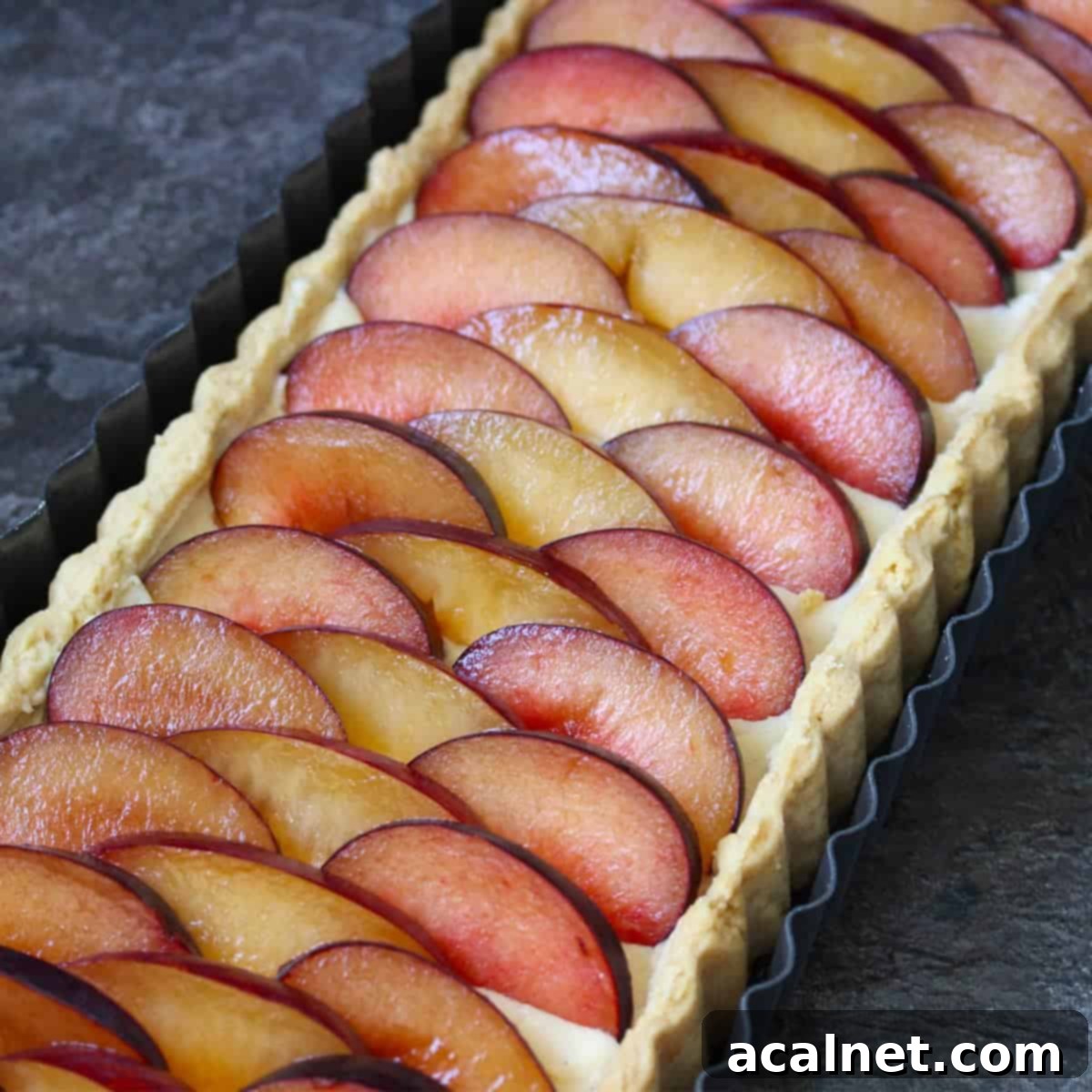 A beautifully arranged Vanilla Custard Plum Tart, showcasing fresh red and black plums on a creamy filling, perfect for a summer dessert table.