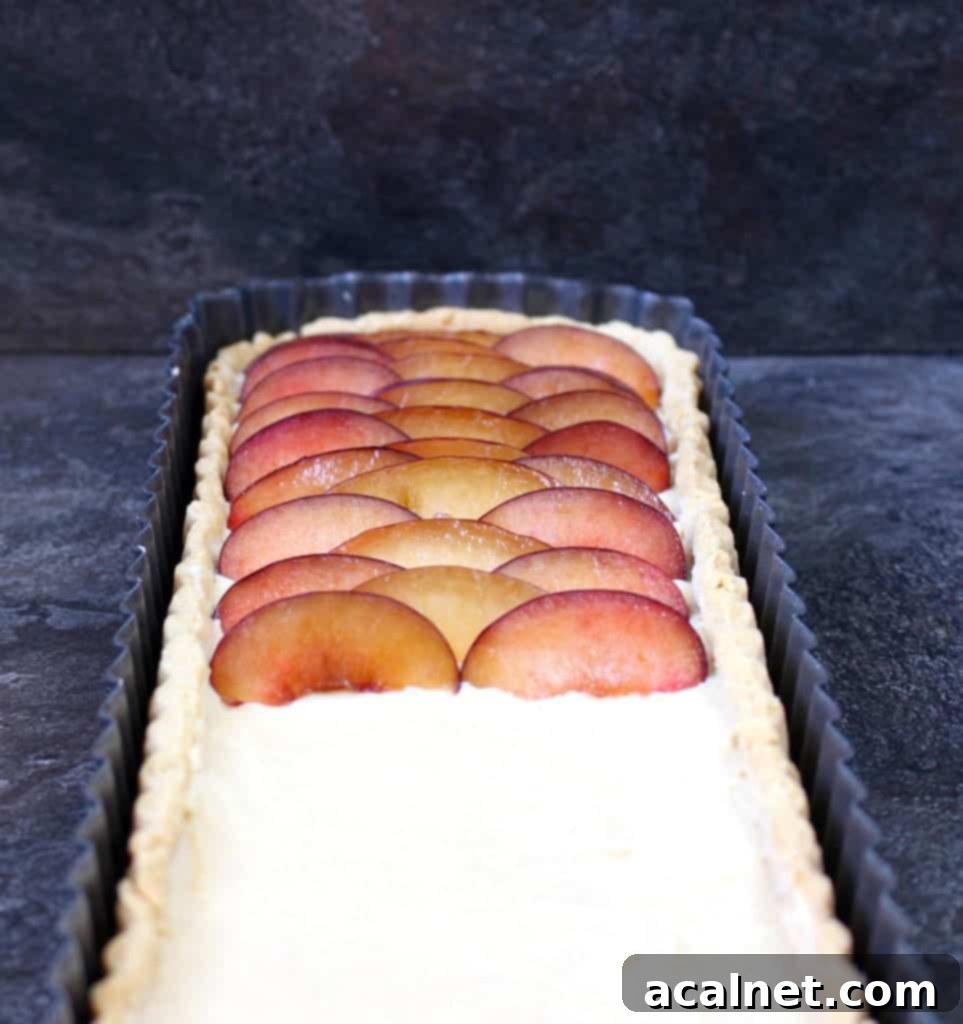 Close-up of freshly sliced plums being carefully arranged over a layer of creamy vanilla pastry cream in a golden tart shell.