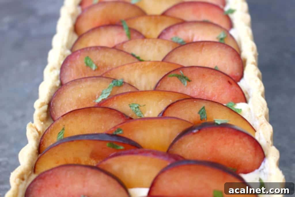 A close-up of the assembled Plum Vanilla Custard Tart, artfully garnished with fresh mint leaves for a final touch of freshness and color.