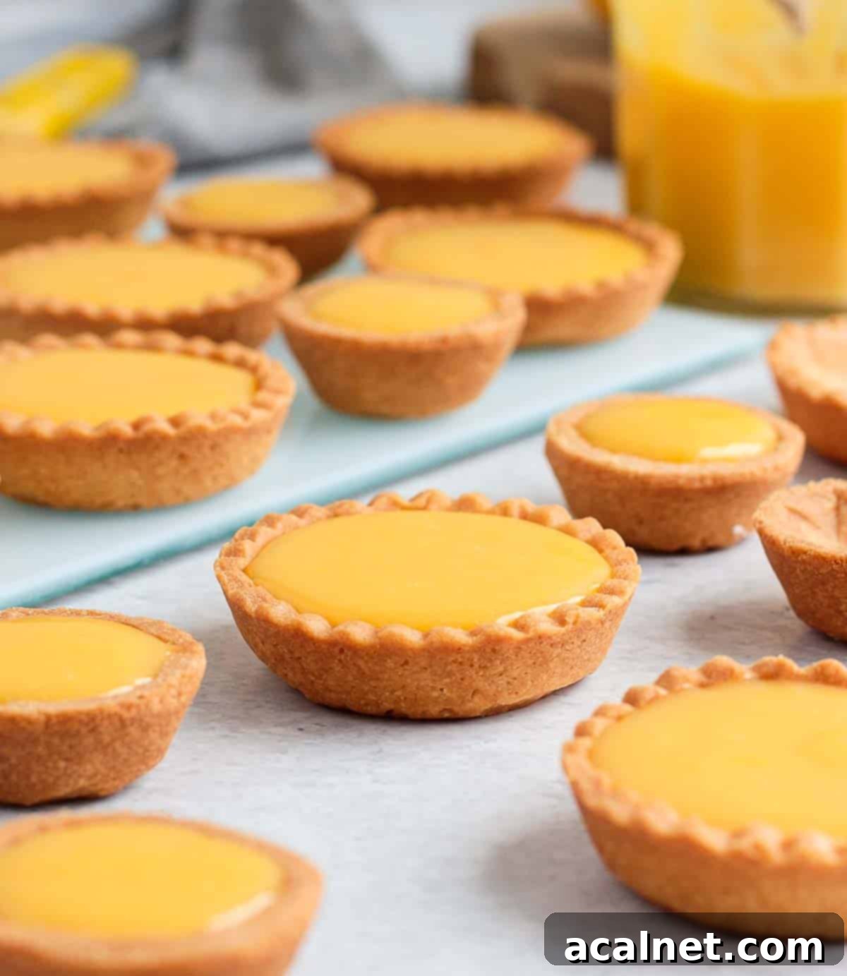 Golden Lemon Mini Tarts 9 Finished lemon tarts on a grey surface. A beautifully arranged plate of finished lemon curd tartlets sits on a simple grey surface, showcasing their inviting golden crusts and glossy, smooth lemon filling, ready to be served.