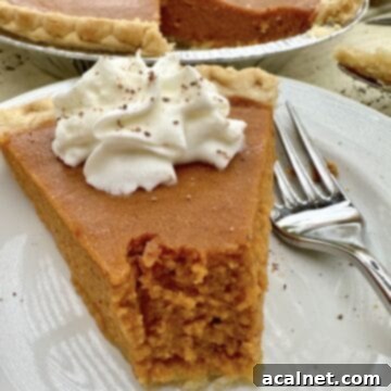 A slice of pumpkin pie with the pie in the background.