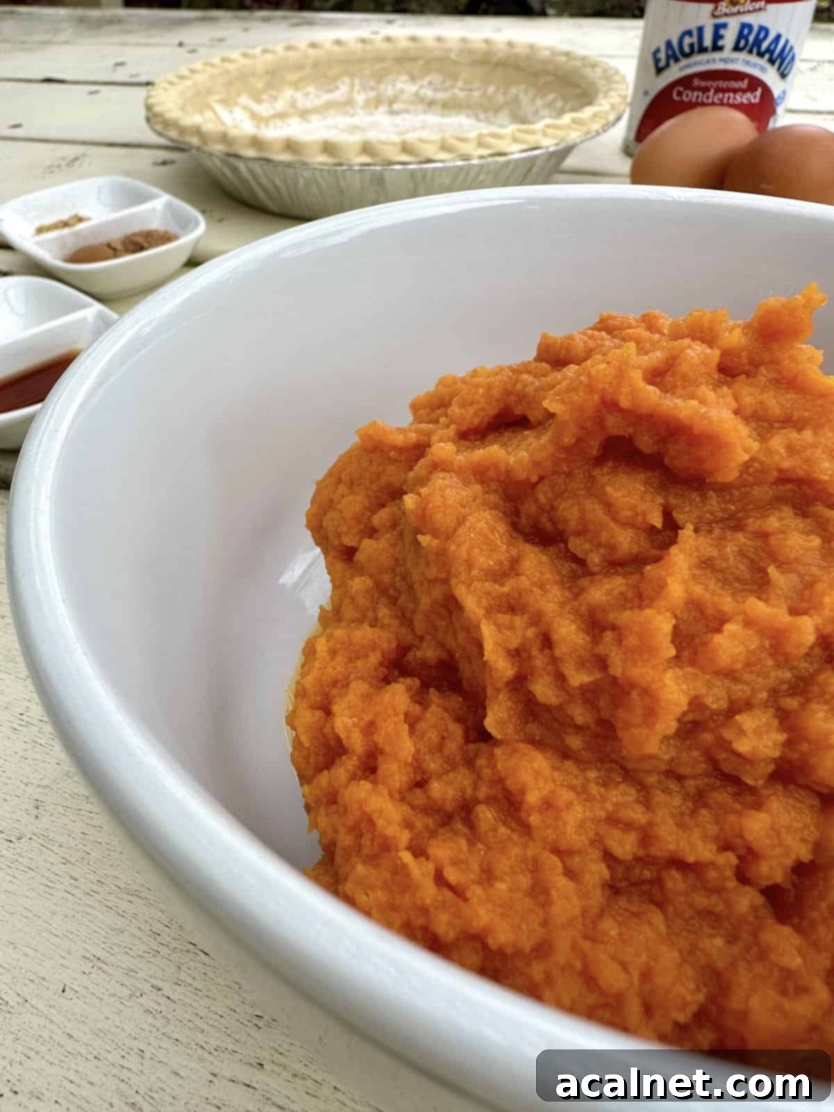Pumpkin puree in a bowl with pie ingredients.
