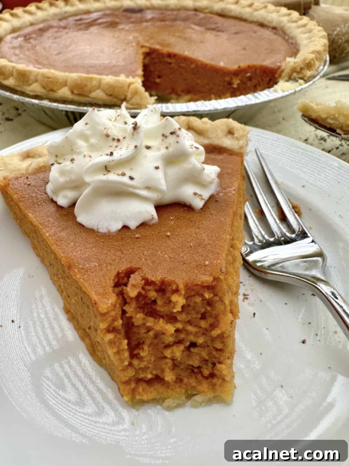 A slice of pumpkin pie with the pie in the background.