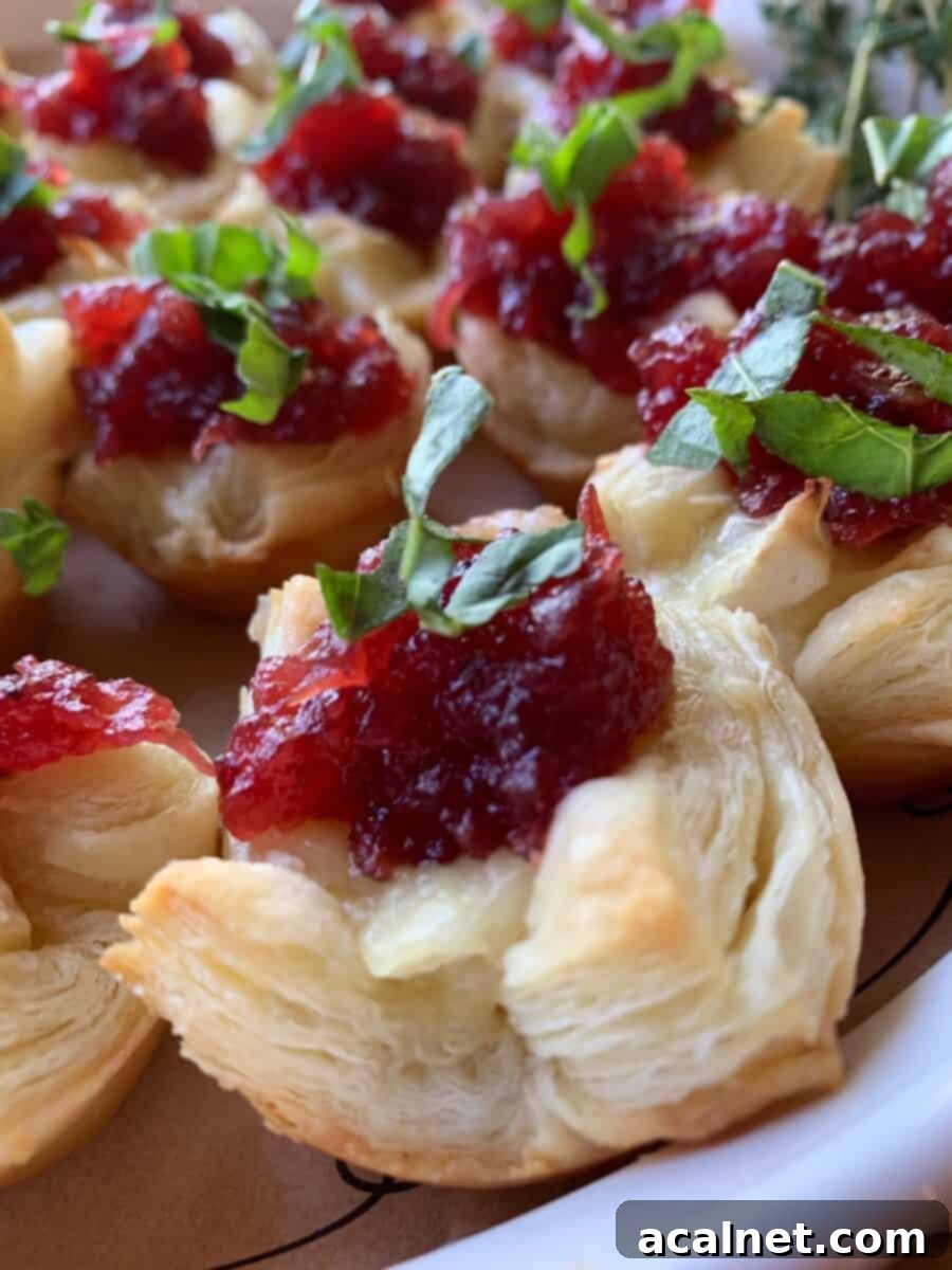 Close up shot of a cranberry brie appetizer