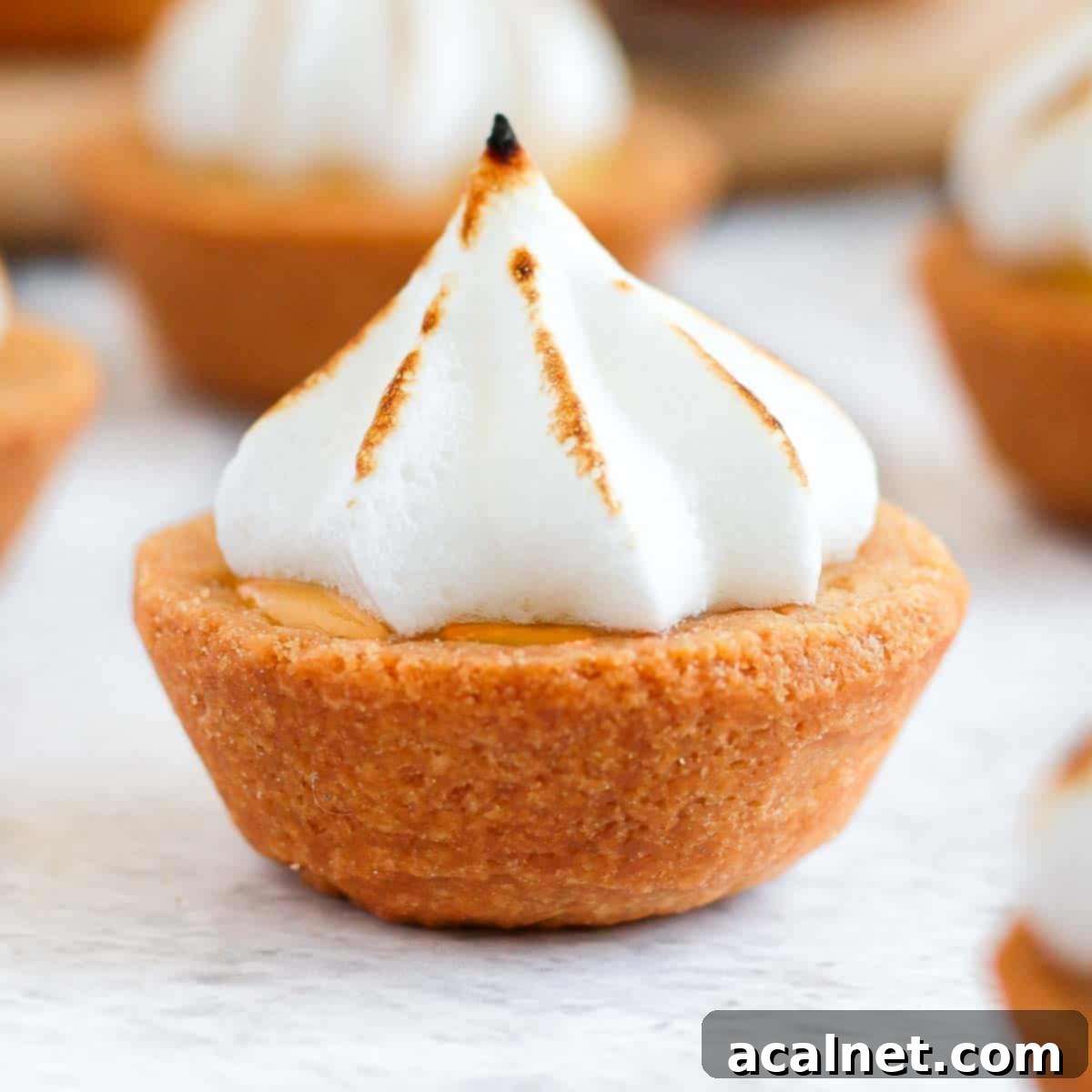 Close up on one tartlet.