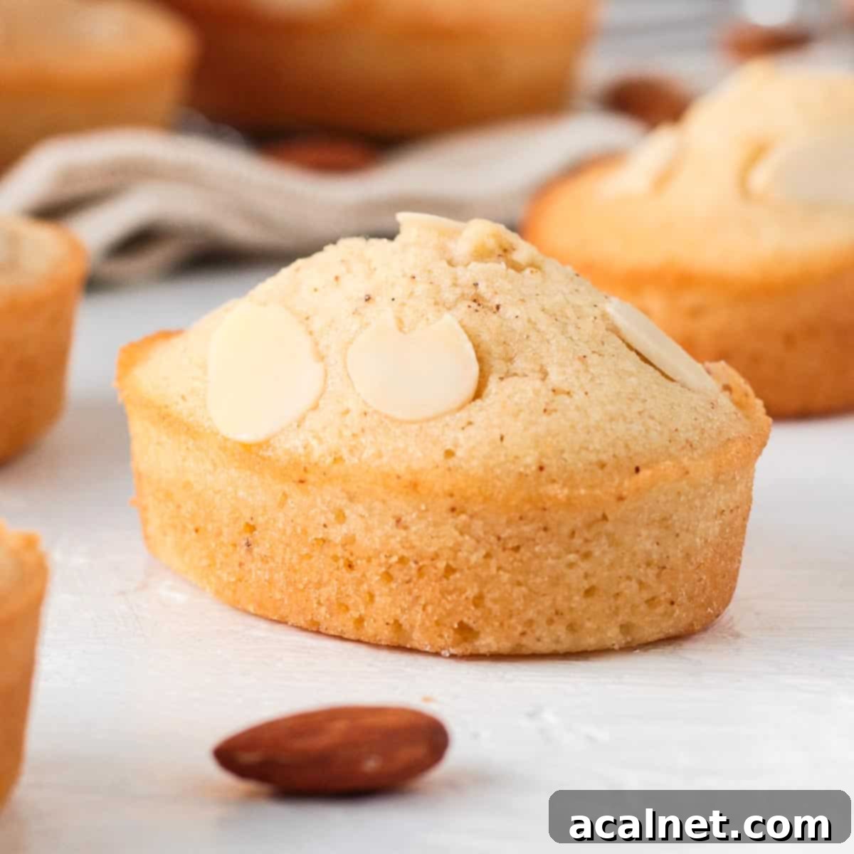 Close up on one almond cake over a white surface.