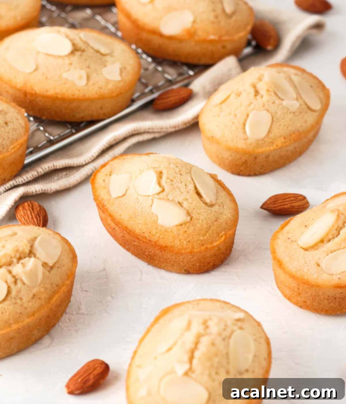 Financiers placed on a white surface.